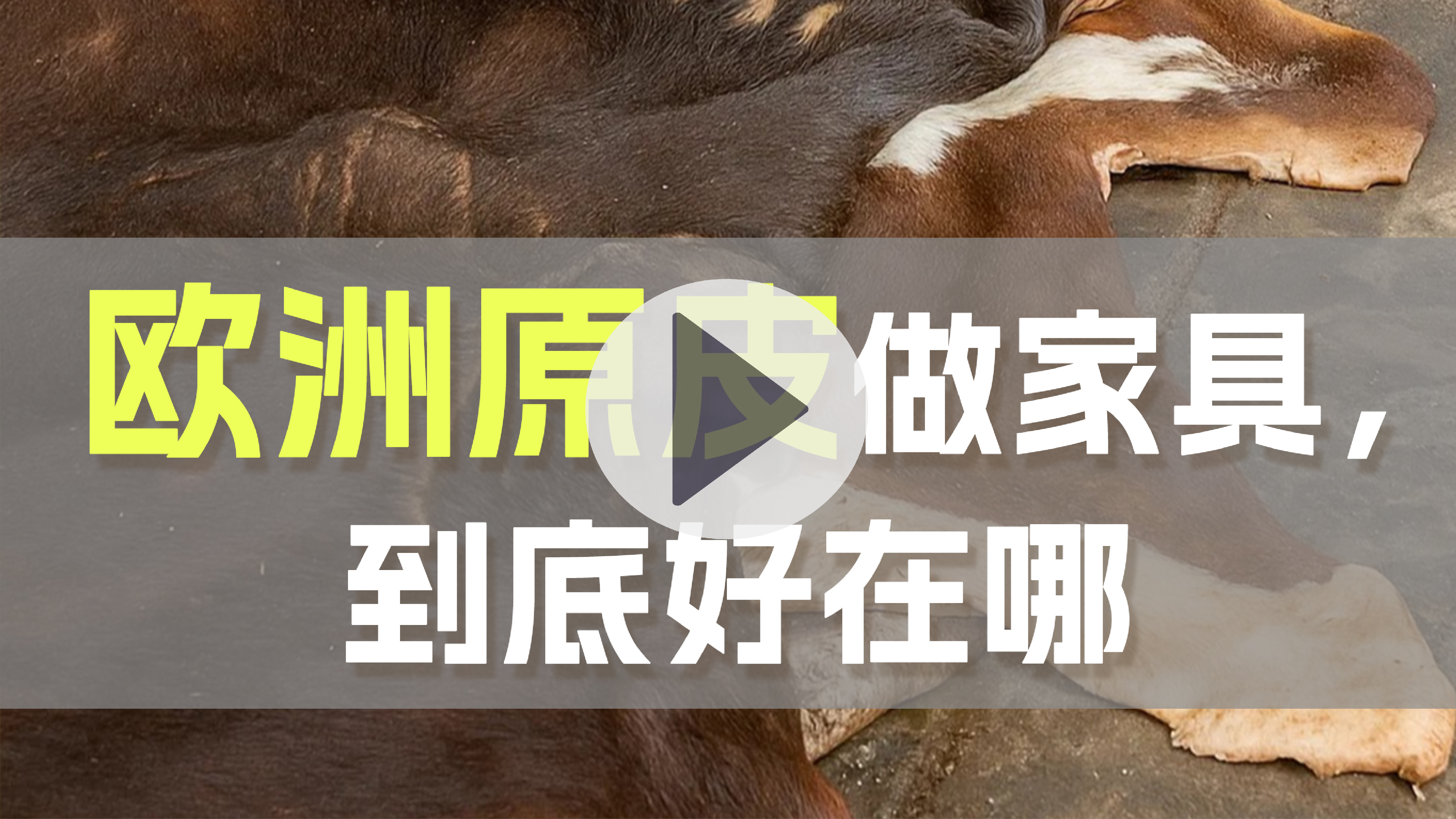 欧洲原皮做家具，到底好在哪里？